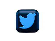 Twitter Logo / Creative Nexus 